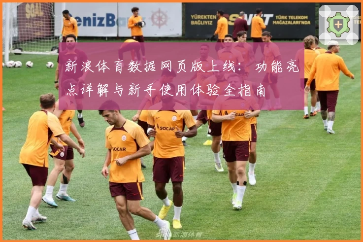 新浪体育数据网页版上线：功能亮点详解与新手使用体验全指南
