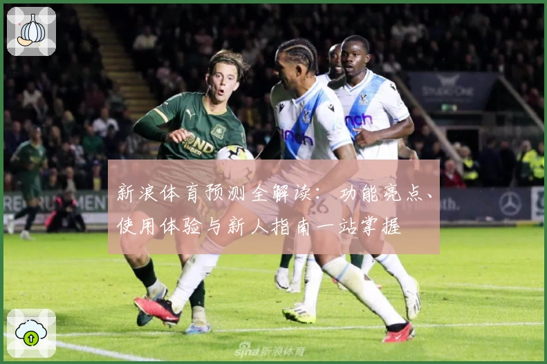 新浪体育预测全解读：功能亮点、使用体验与新人指南一站掌握