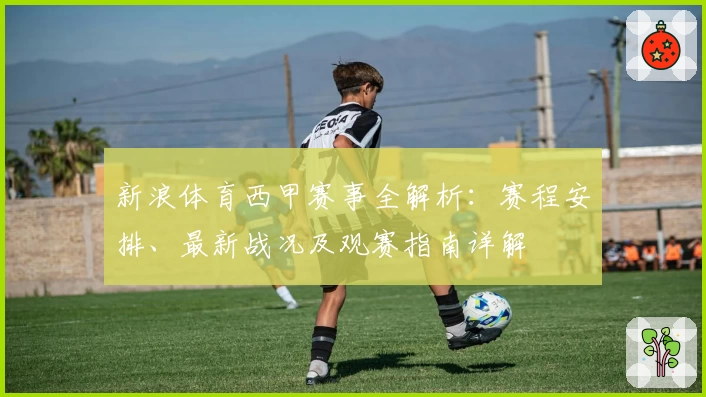 新浪体育西甲赛事全解析:赛程安排、最新战况及观赛指南详解
