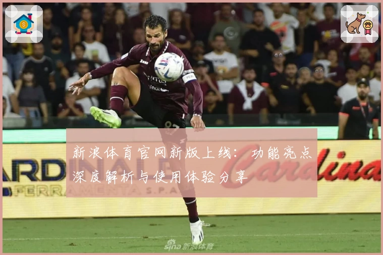 新浪体育官网新版上线：功能亮点深度解析与使用体验分享