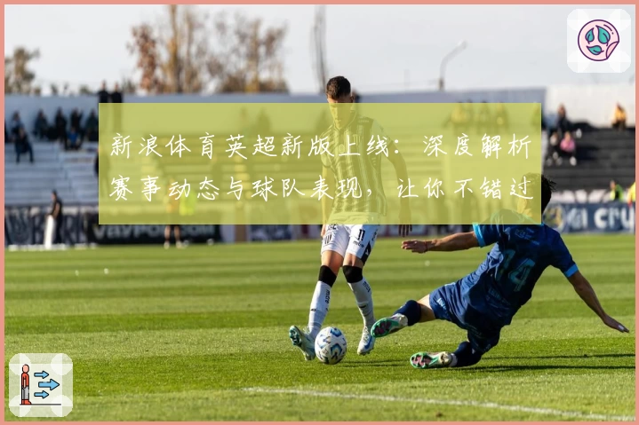 新浪体育英超新版上线：深度解析赛事动态与球队表现，让你不错过任何关键时刻