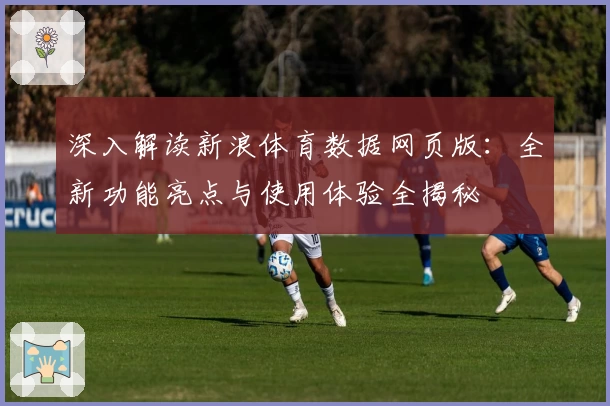 深入解读新浪体育数据网页版：全新功能亮点与使用体验全揭秘