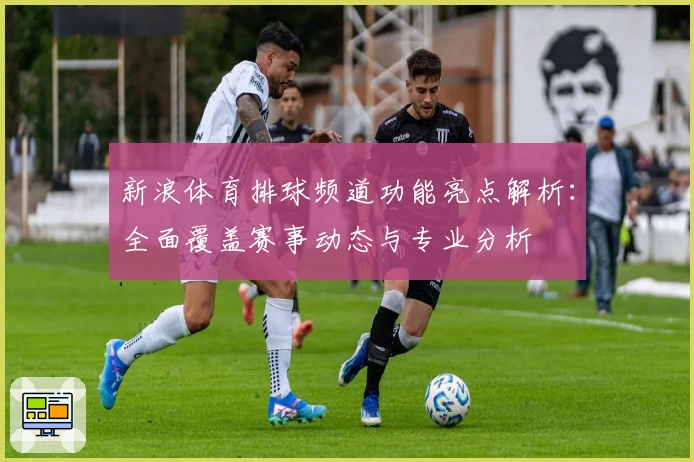 新浪体育排球频道功能亮点解析：全面覆盖赛事动态与专业分析