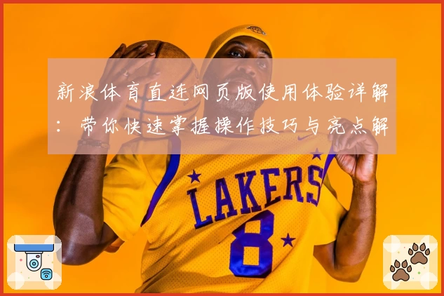 新浪体育直连网页版使用体验详解：带你快速掌握操作技巧与亮点解析