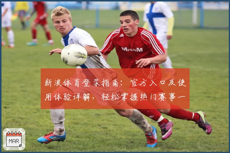 新浪体育登录指南:官方入口及使用体验详解,轻松掌握热门赛事一手资讯