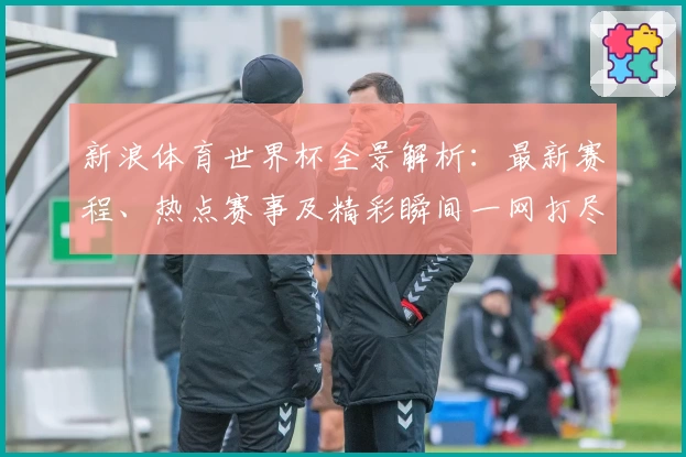 新浪体育世界杯全景解析：最新赛程、热点赛事及精彩瞬间一网打尽
