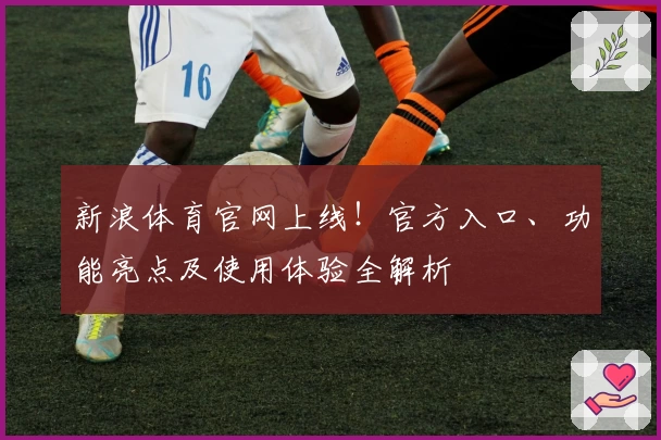 新浪体育官网上线！官方入口、功能亮点及使用体验全解析